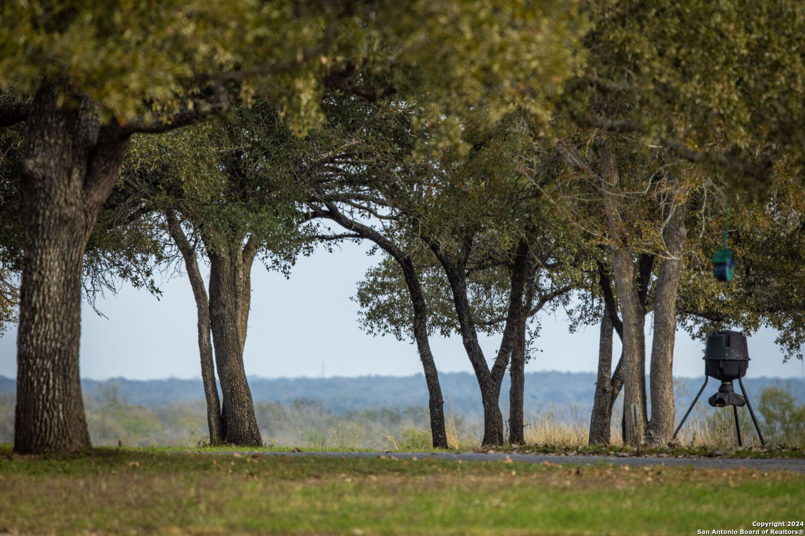 a view of outdoor space with trees