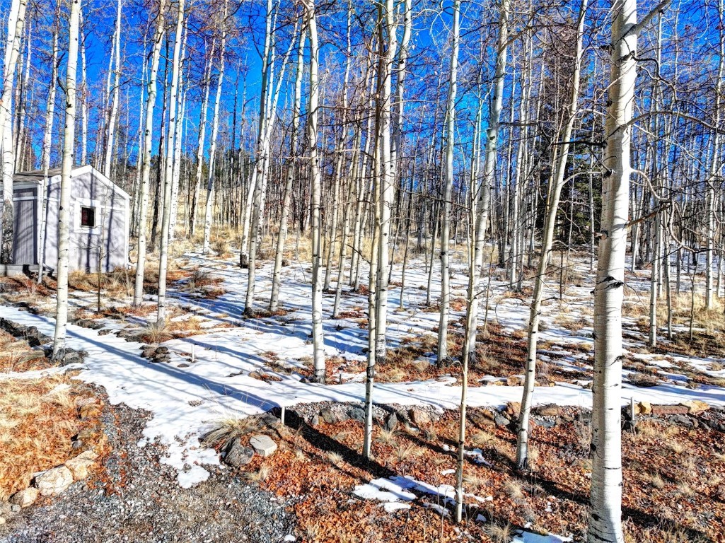 View of snowy yard