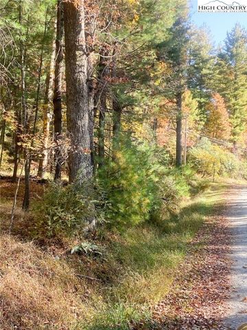 $20,000 | Hollyknoll Road | Cherry Lane Township - Alleghany County