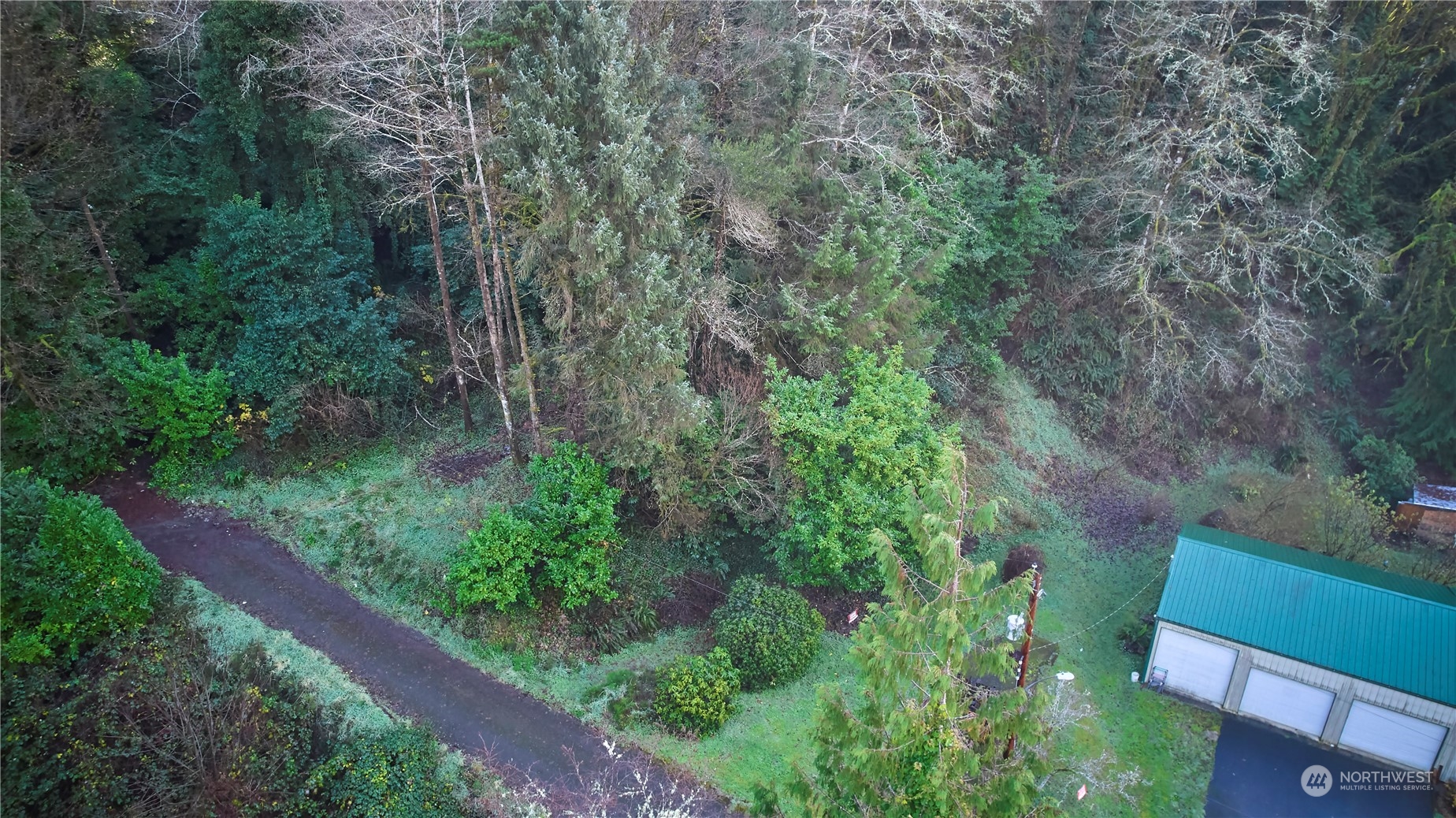 a view of a yard with plants and a small yard