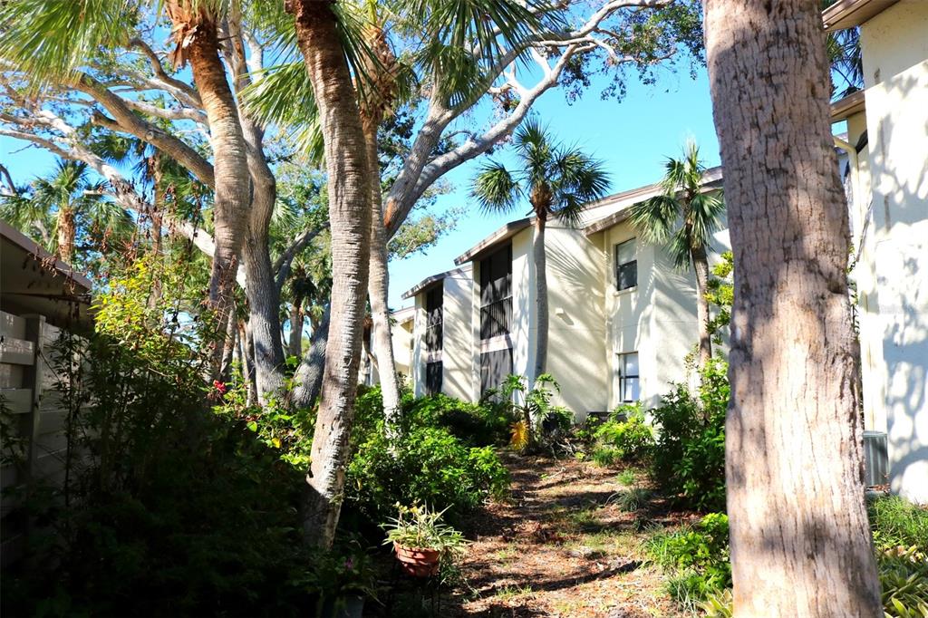 The front of the building is shaded with lovely mature landscaping.