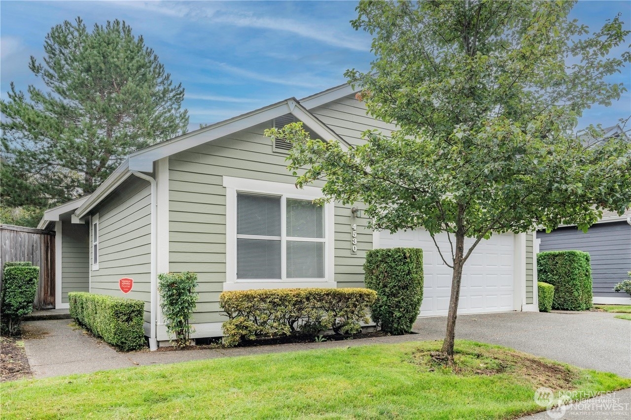 a view of a house with a yard plants and a tree