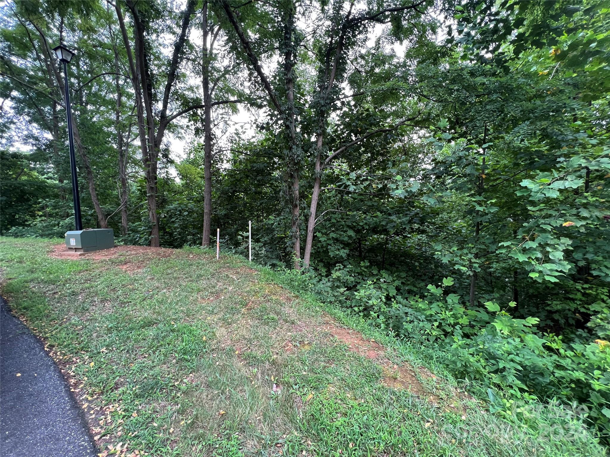 a view of outdoor space and yard