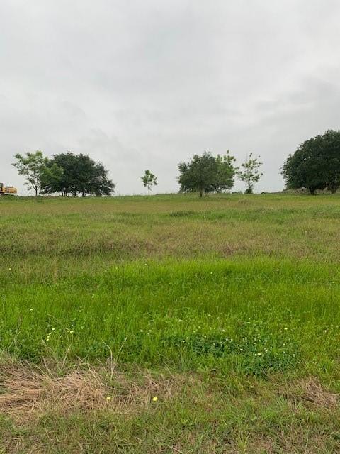 a view of a green field with lots of bushes