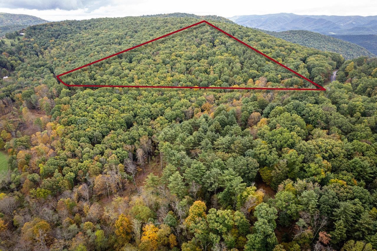 an aerial view of mountain with trees