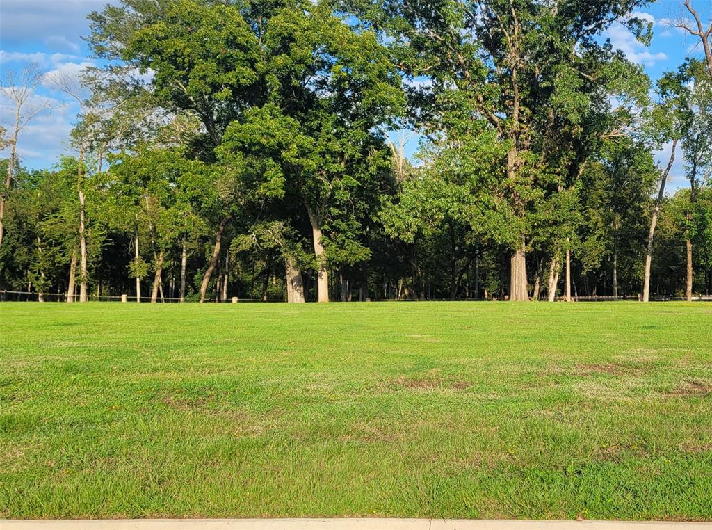 a view of grassy field with trees