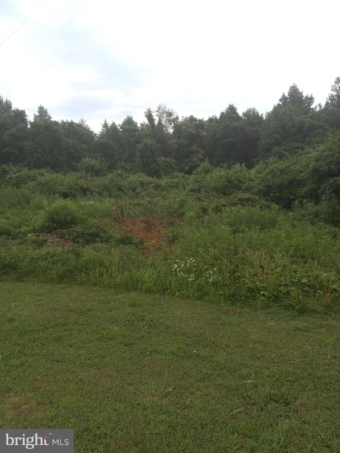 a view of a field with an trees