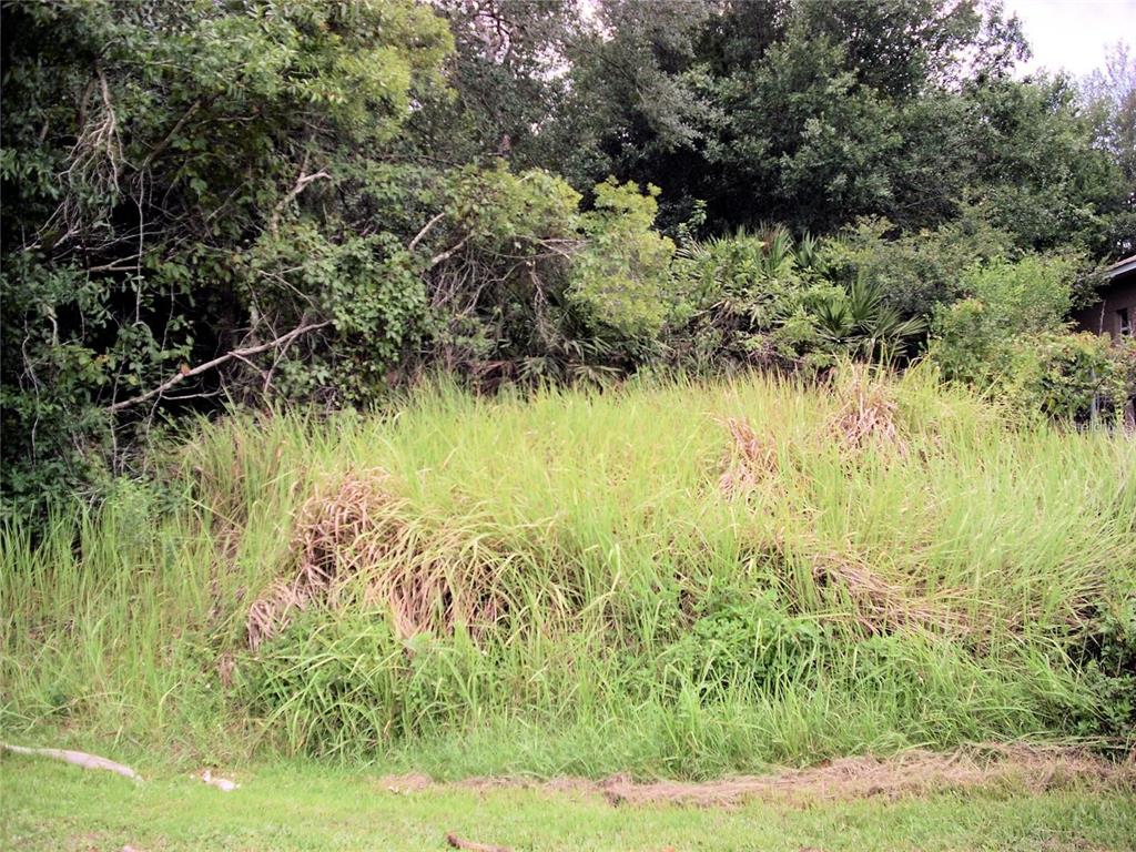 a view of a garden