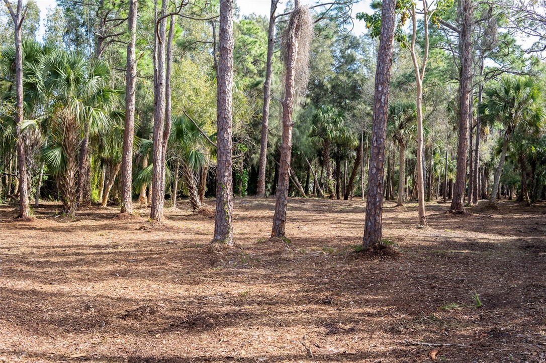 a view of park space with trees