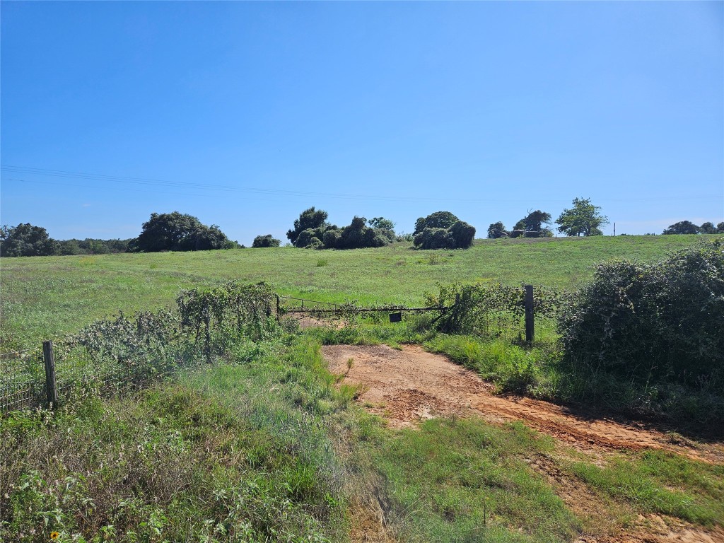 a view of a grassy field with trees