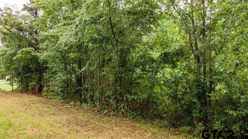 a view of a yard with a tree