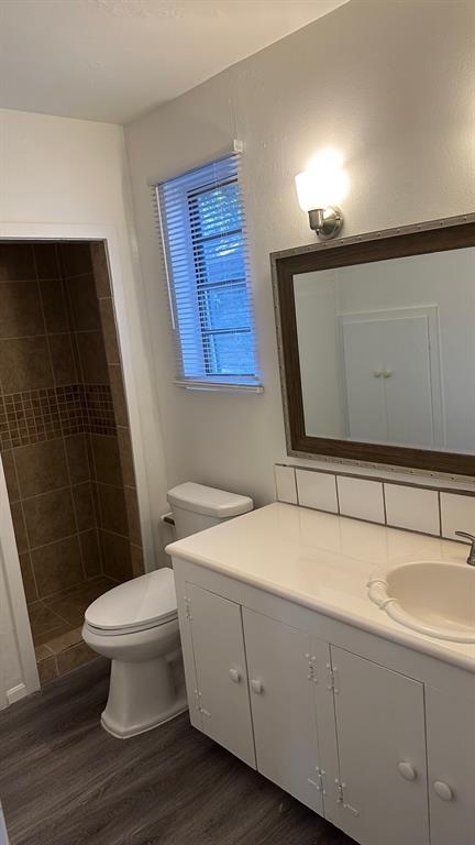 a bathroom with a sink and a toilet