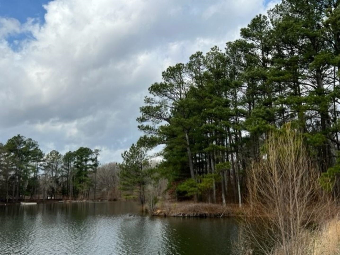 a view of a lake with trees in the background