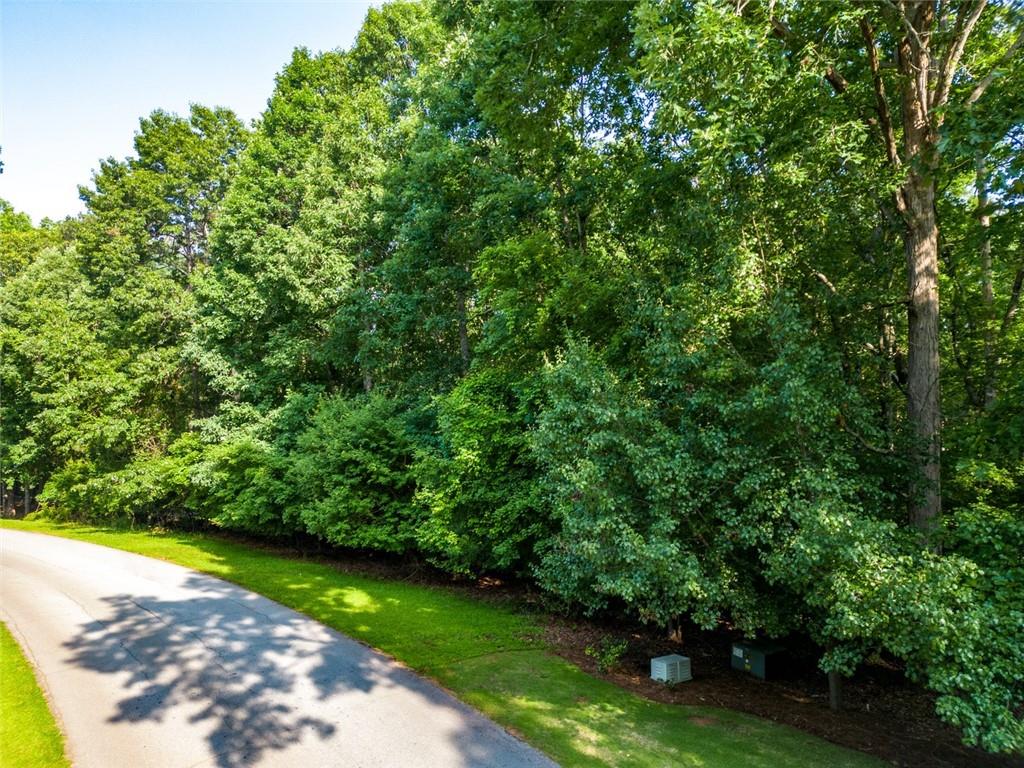 a view of a yard with a tree