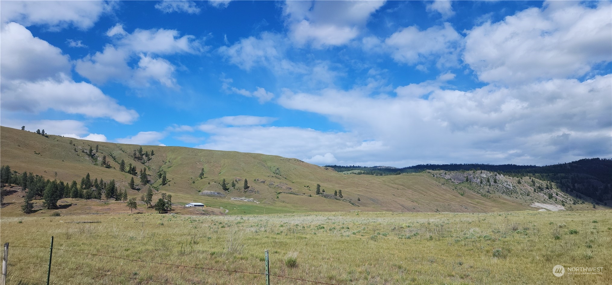 a view of a dry yard with mountains in the background