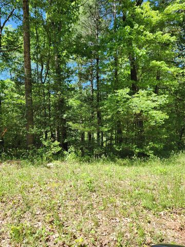 $29,900 | 9 Tadpole Lane | Wittenburg Township - Alexander County