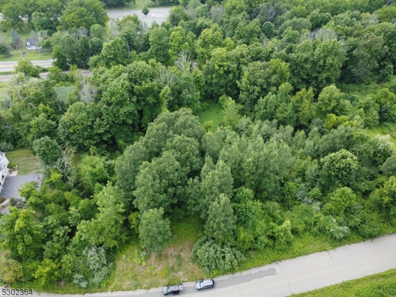 an aerial view of a forest with houses