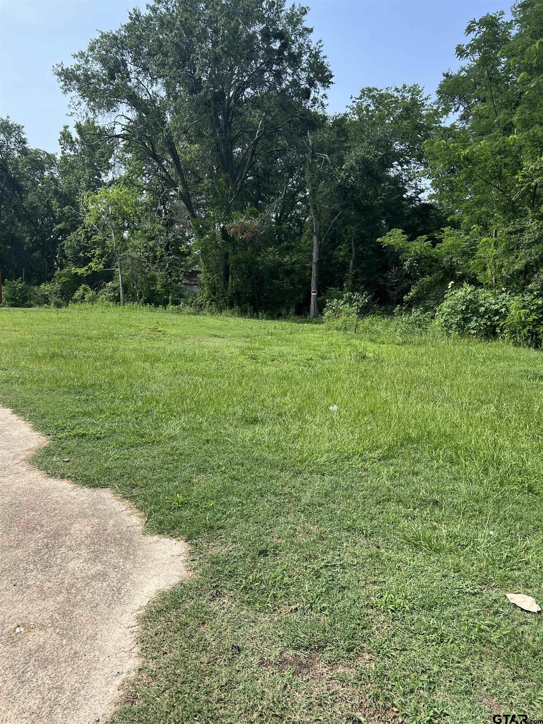 a view of outdoor space and yard