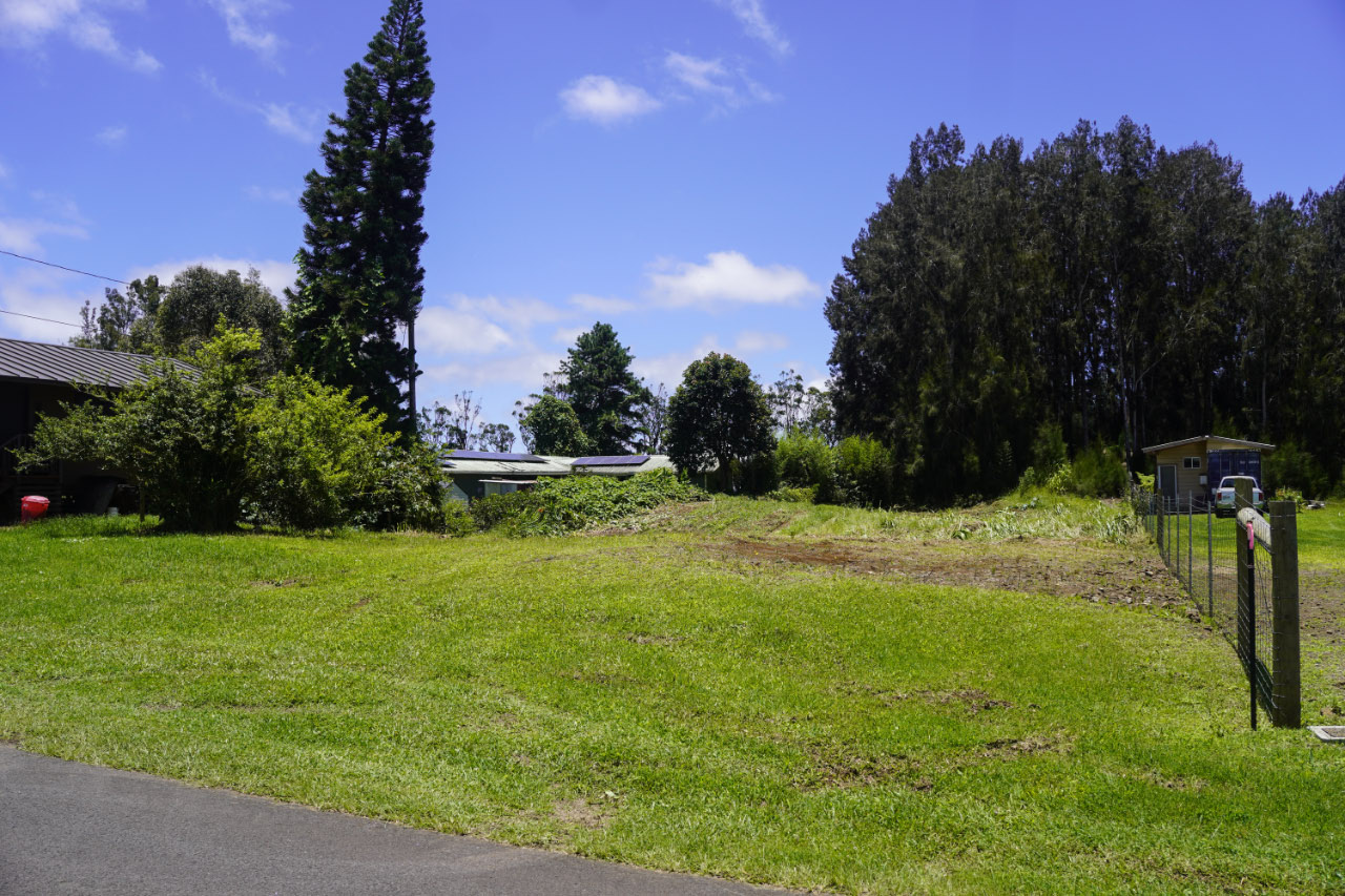 a view of backyard with green space