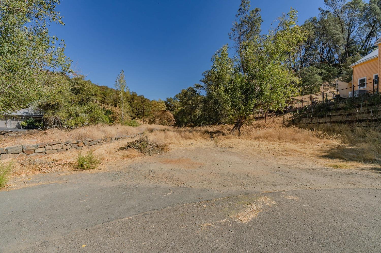 a view of a yard with a tree