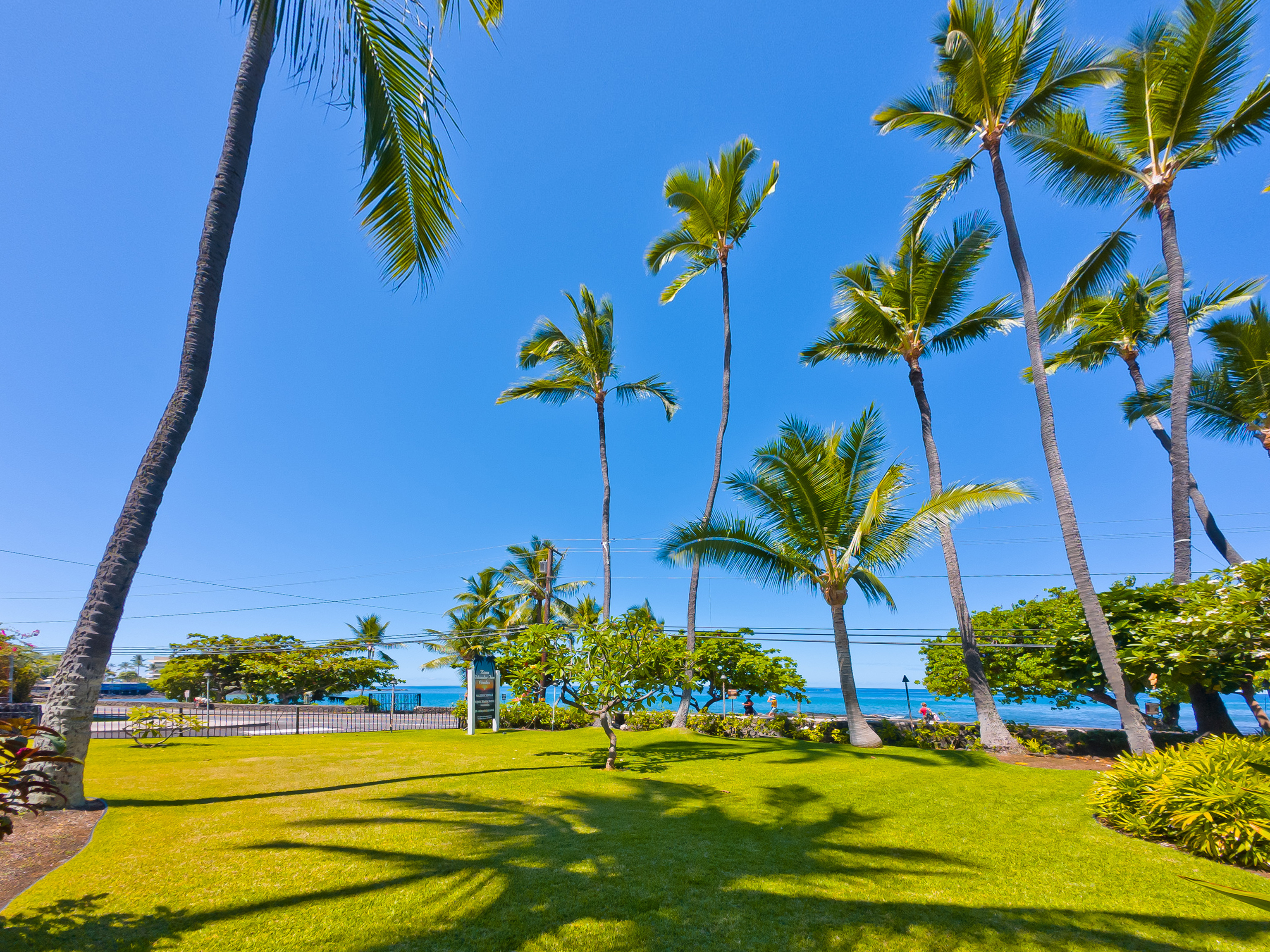 Ocean view from the condo, looking through the tropical landscaping and Ali'i Drive.