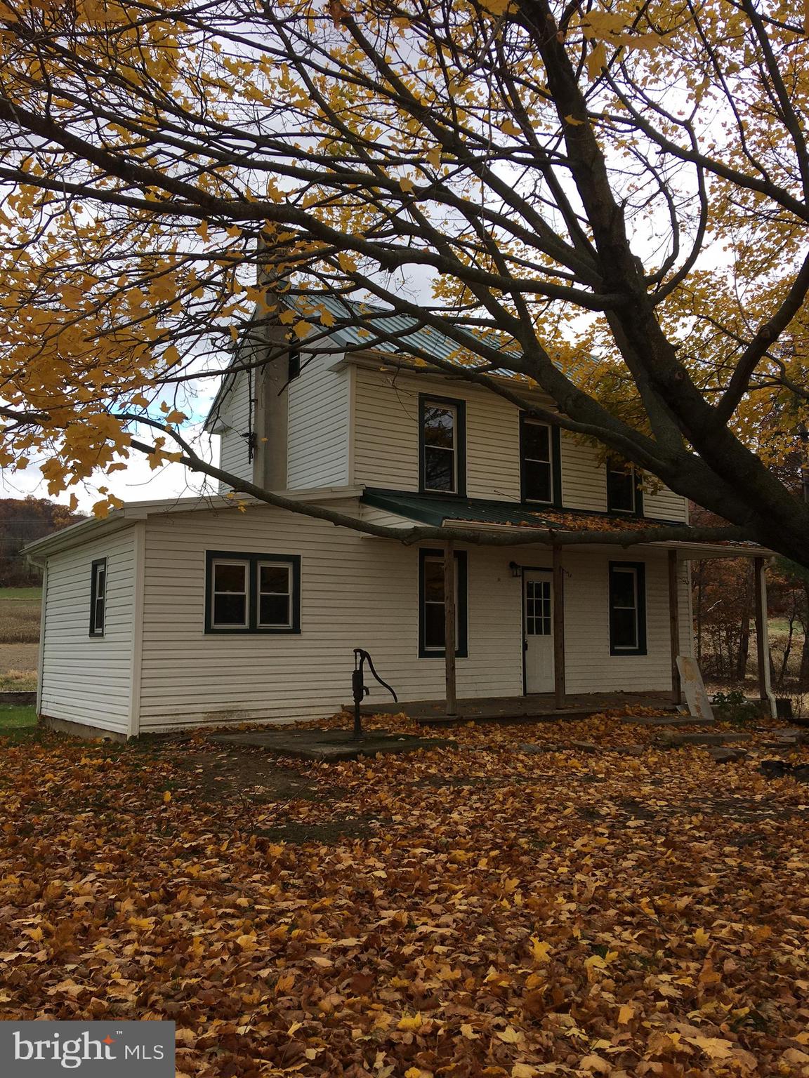 a house that has a tree in front of the house