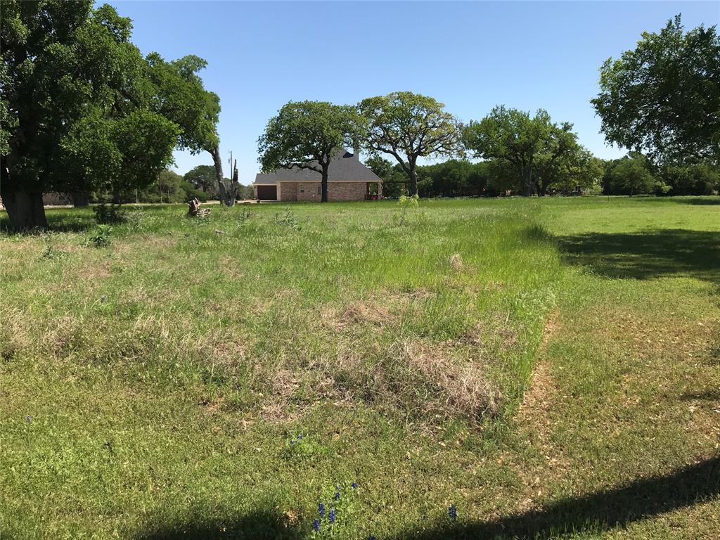 a view of a field of grass and trees