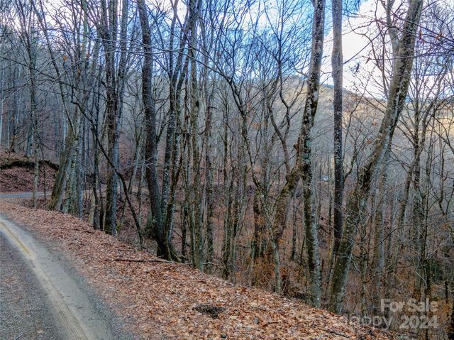 $75,000 | 0 Forbidden Cove | Jonathan Creek Township - Haywood County