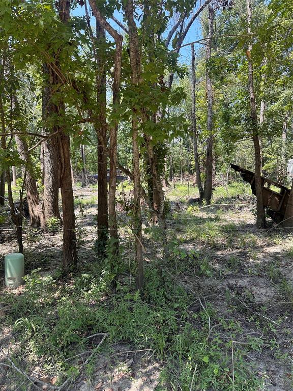 a view of outdoor space with trees