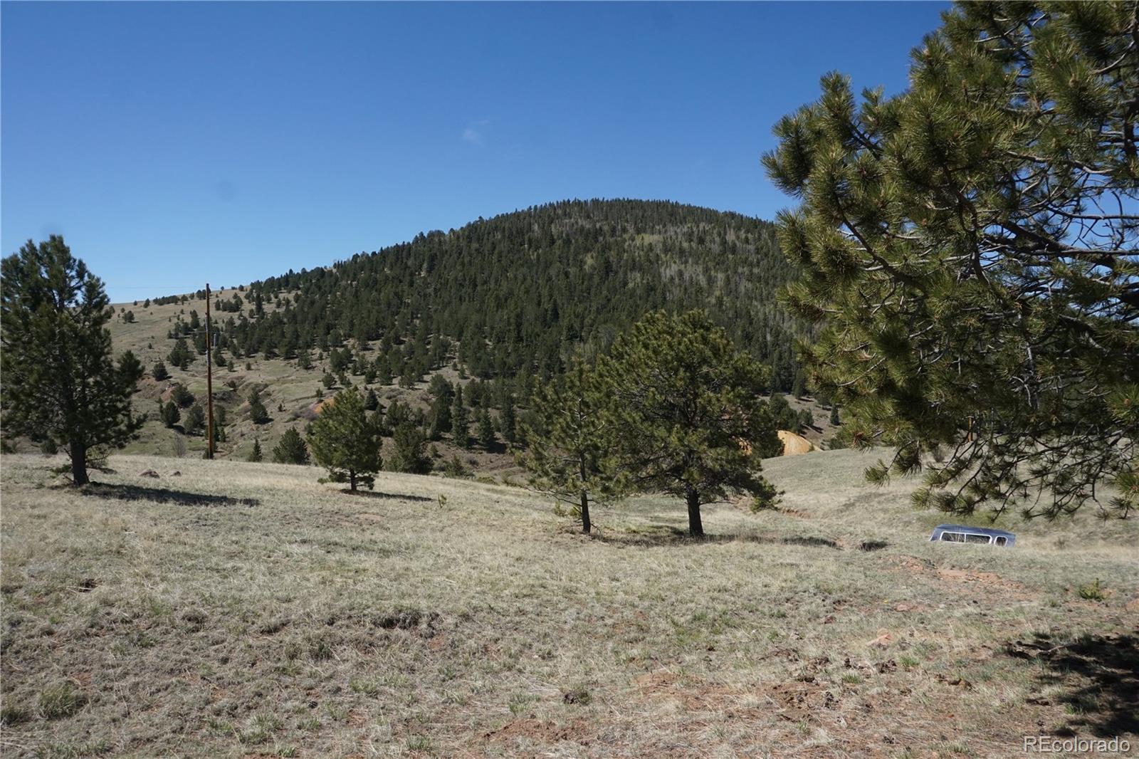 a view of a covered with trees in the background