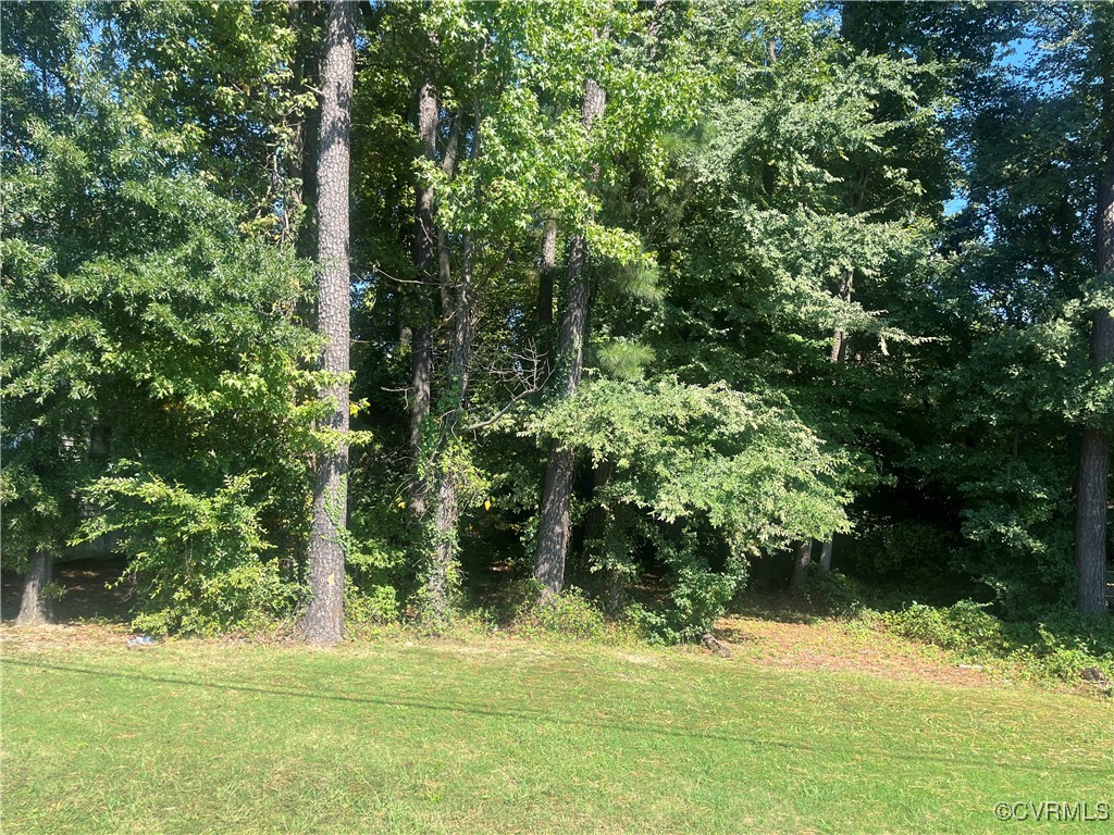 a view of a yard with plants