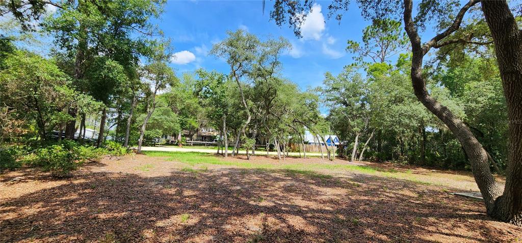 a big yard with trees in the background