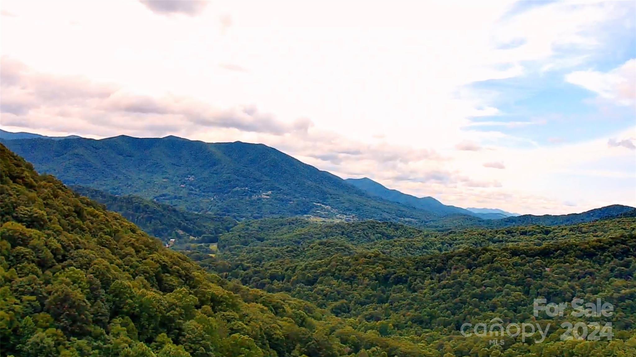 a view of a mountain range with lush green forest