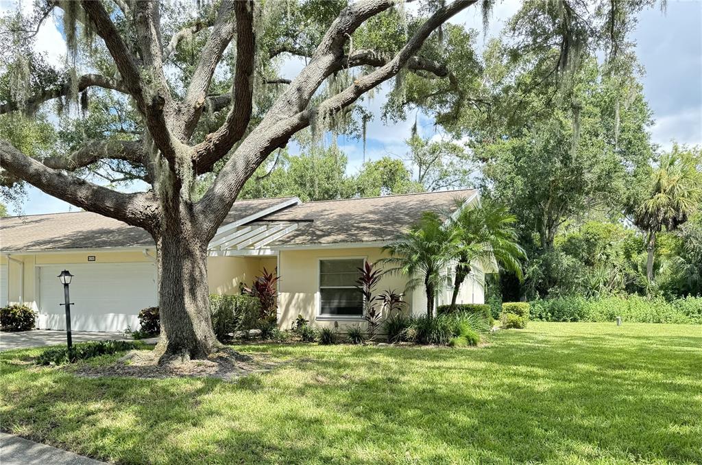 a view of a house with a yard