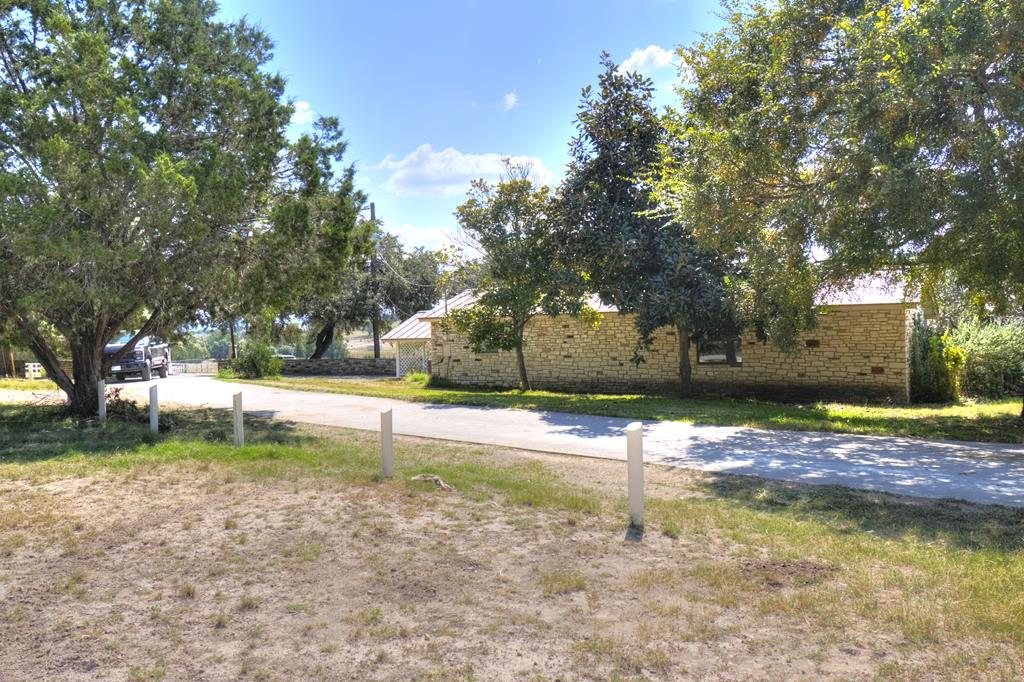 a view of a yard with palm tree