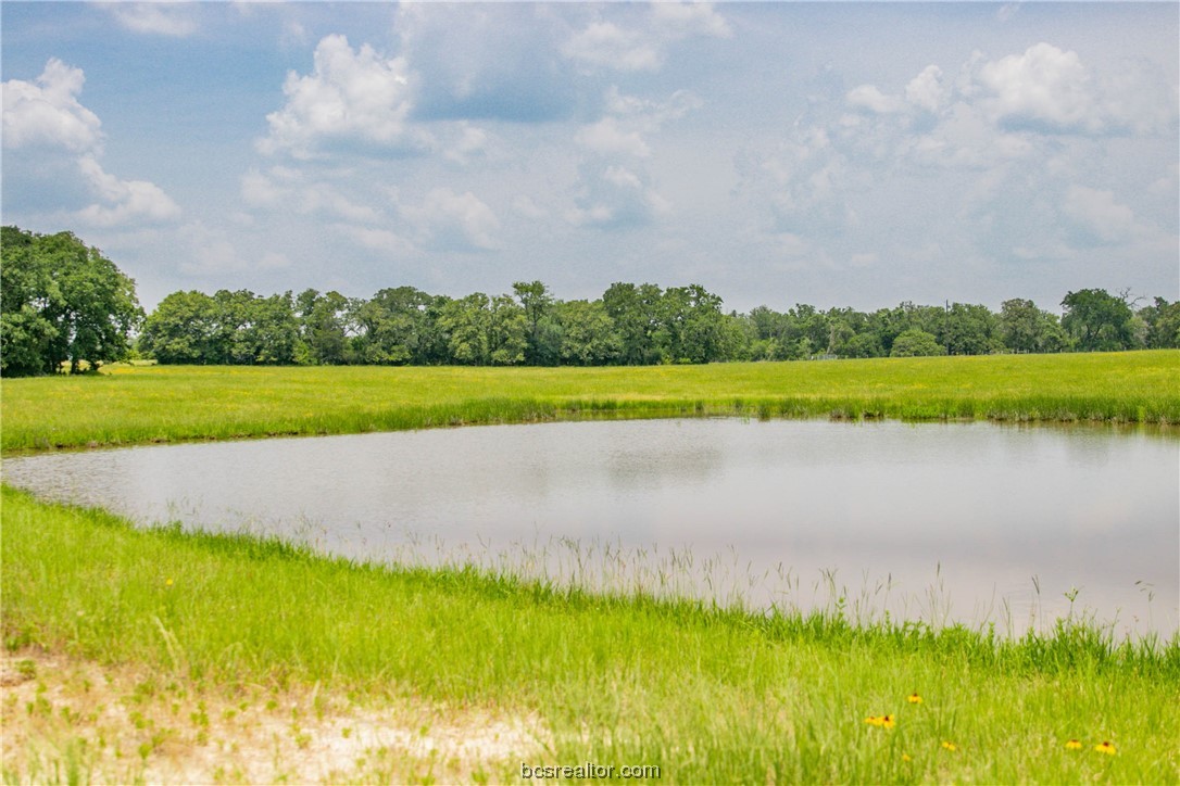 a view of a lake with a big yard and a large trees