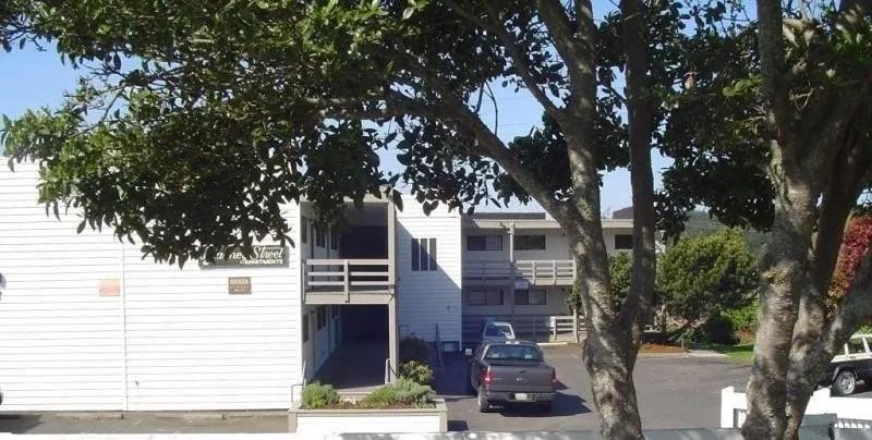 a front view of a house with a tree