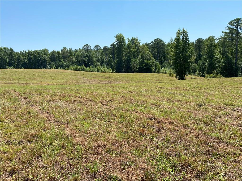 a view of a field with trees in the background