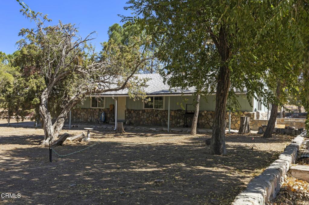 a tree in front of a house