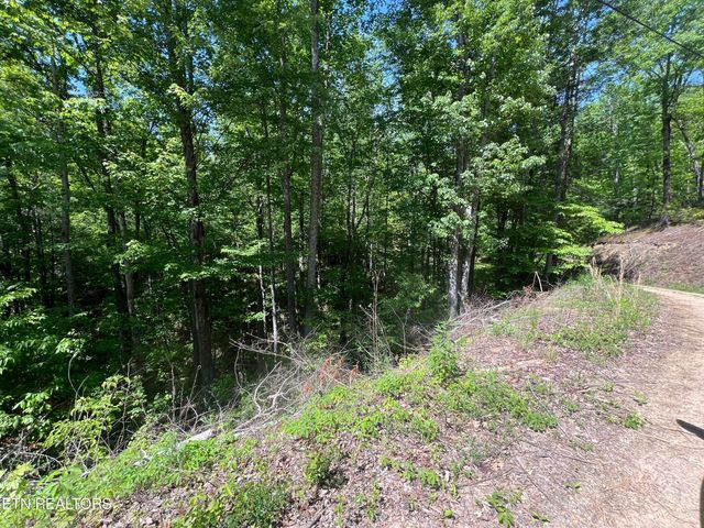 $15,000 | Lot 55 Black Oak / Lot 26 Butternut Place