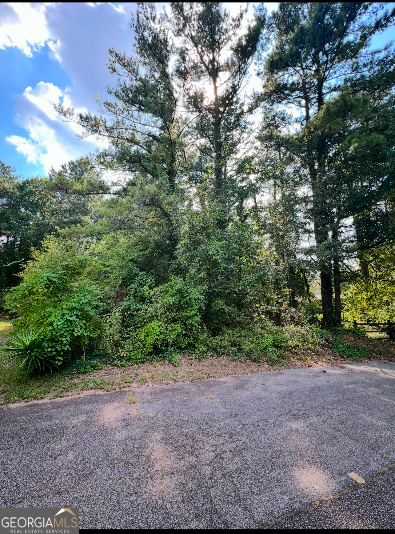 a view of a yard with a tree