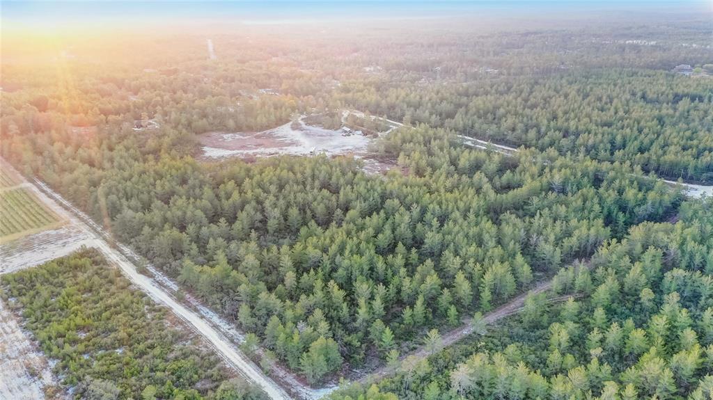 a view of a forest from a balcony