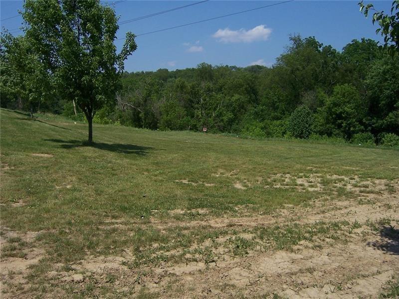 a view of a field with trees in background