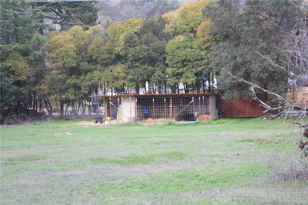 a backyard of a house with lots of green space and fountain