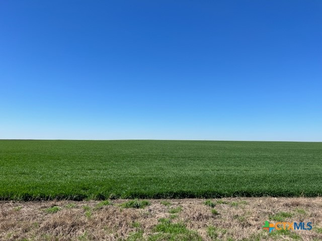 a view of a field with an ocean