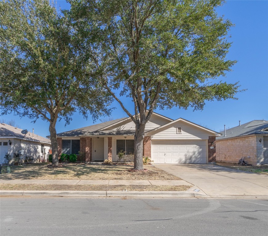 a house that has a tree in front of it