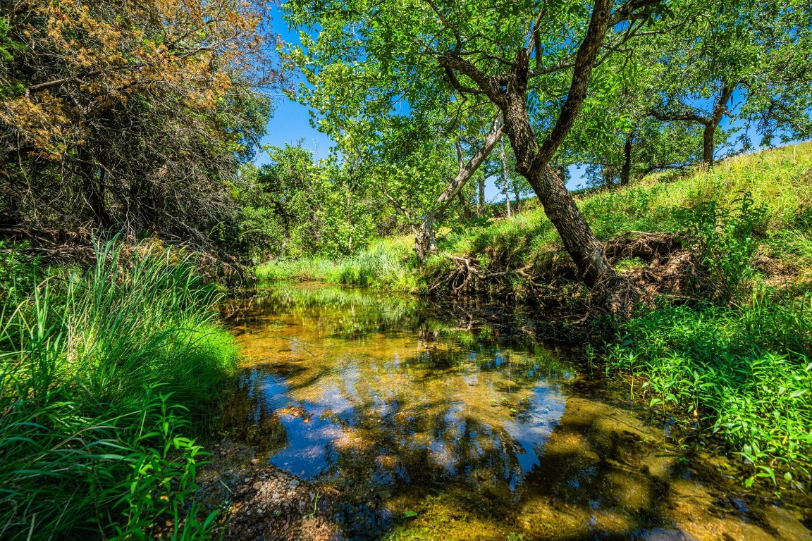 a view of a tree