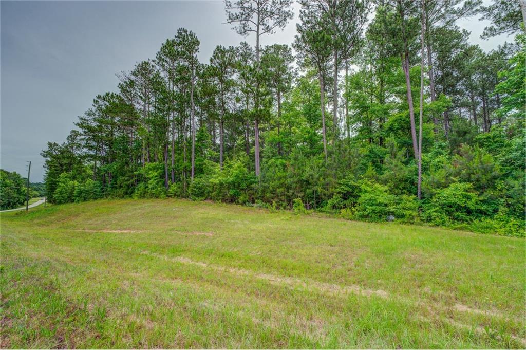 a view of a field with trees in the background