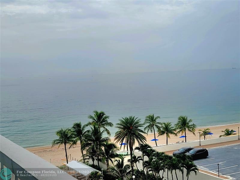 a view of outdoor space with palm trees