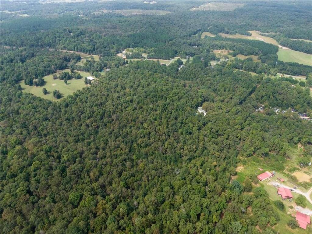 a view of a bunch of trees and bushes